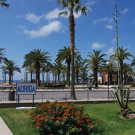 Zeus Auriga * Salou