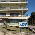 Zeus Auriga *