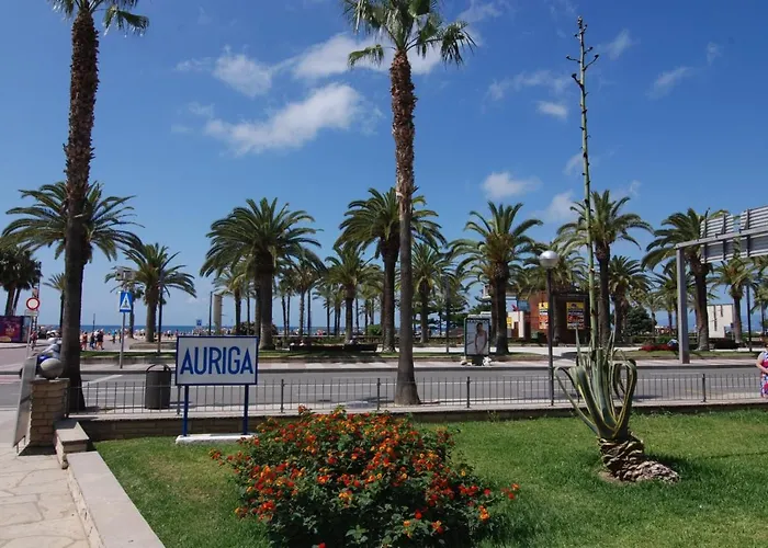 Zeus Auriga * Salou